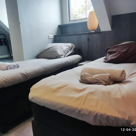 House Of Tulips 3*