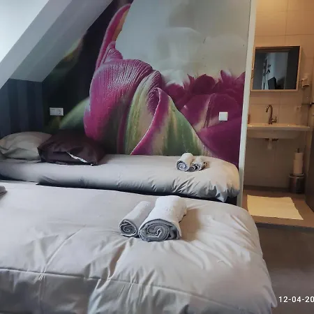 House Of Tulips Hotel 3*