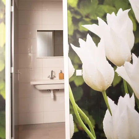 House Of Tulips 3* Hillegom