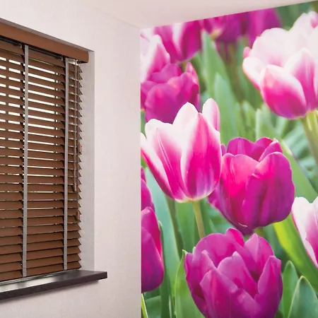 House Of Tulips