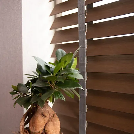 House Of Tulips Hotel Hillegom