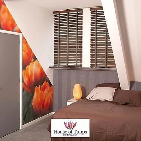 House Of Tulips