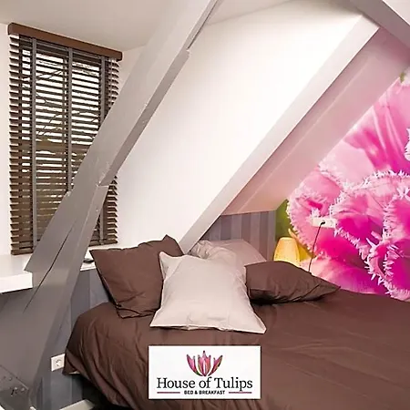 House Of Tulips 3* 希勒霍姆