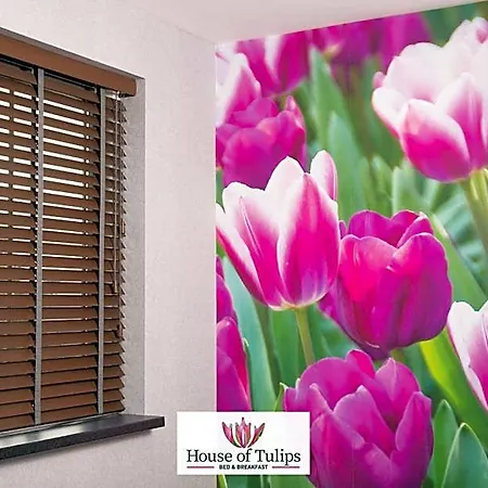 House Of Tulips 3*
