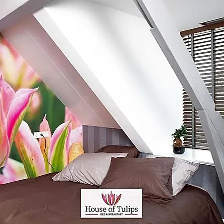 House Of Tulips 酒店 希勒霍姆