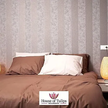House Of Tulips 3*