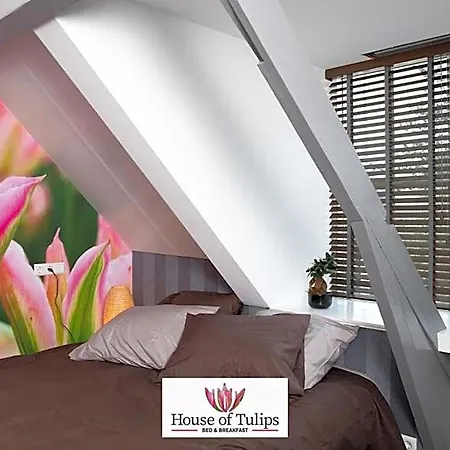 House Of Tulips 希勒霍姆