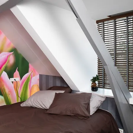 House Of Tulips Hillegom