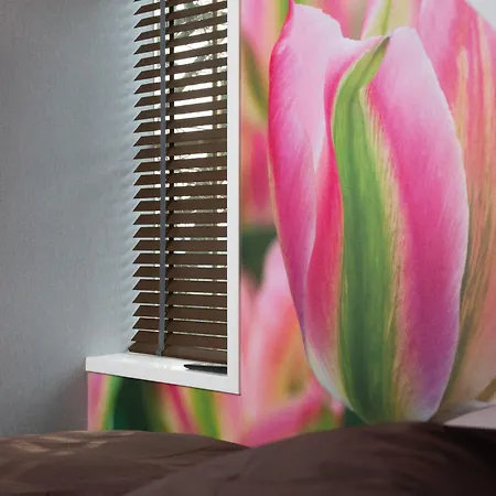 Hotel House Of Tulips 3*