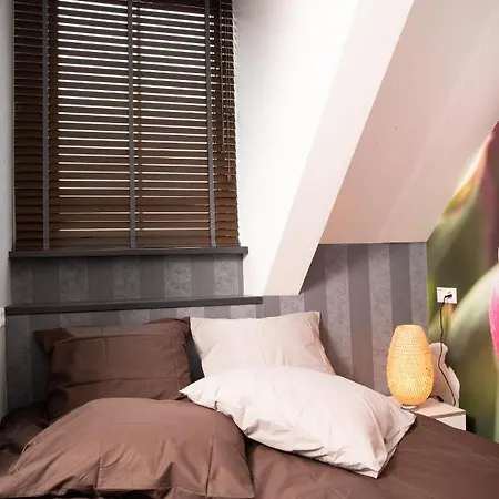 House Of Tulips Hotel