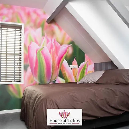 House Of Tulips 酒店 希勒霍姆