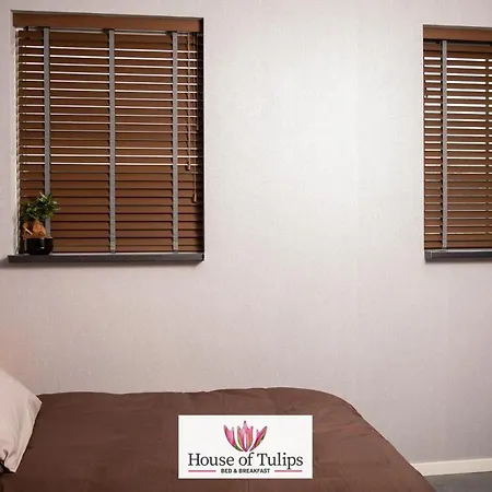House Of Tulips ホテル ヒルレーゴム