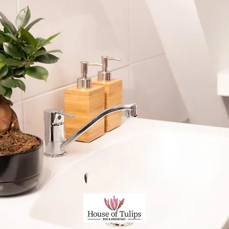 House Of Tulips 3* ヒルレーゴム