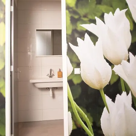 酒店 House Of Tulips 希勒霍姆