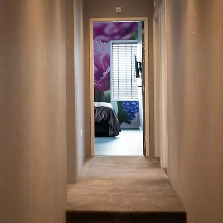 House Of Tulips Hotel 3*