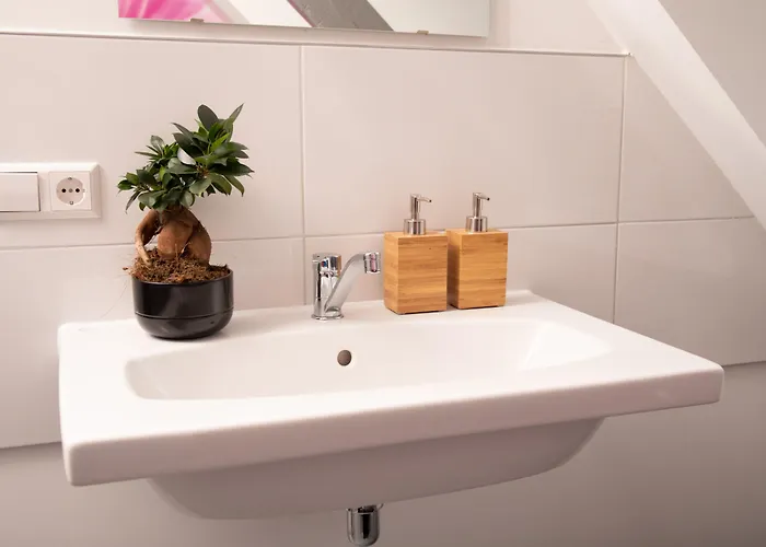 House Of Tulips Отель Хиллегом