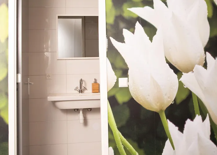 House Of Tulips 3* Хиллегом