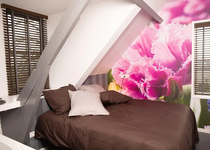 Отель House Of Tulips