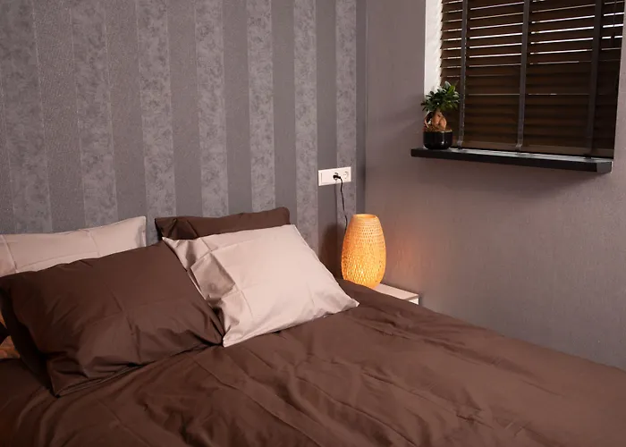 House Of Tulips 3* Хиллегом