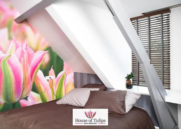 House Of Tulips Отель Хиллегом