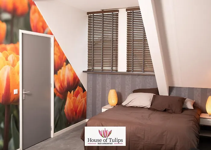 House Of Tulips Хиллегом