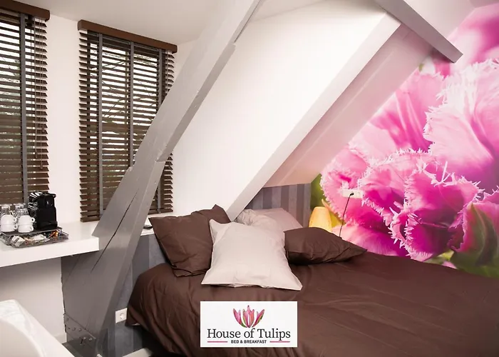 House Of Tulips Hotel Hillegom