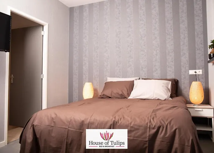 House Of Tulips Hotel Hillegom