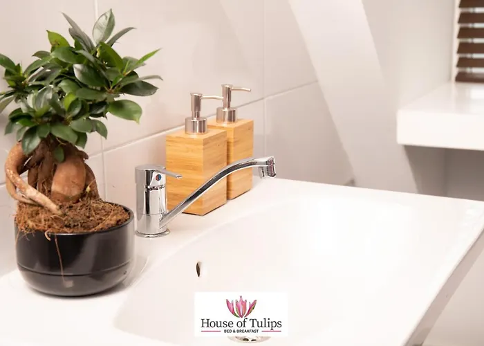 House Of Tulips 3* Хиллегом