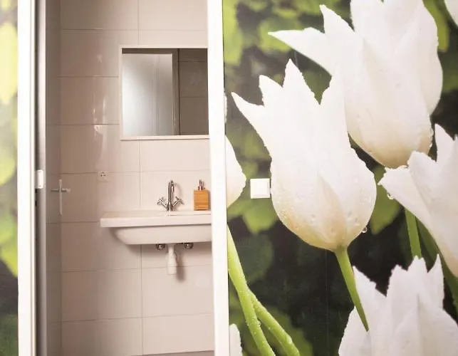 Отель House Of Tulips Хиллегом