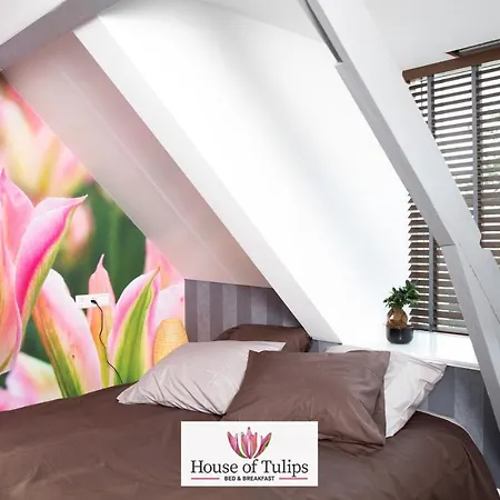 House Of Tulips فندق هيليخوم