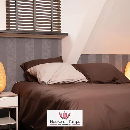 فندق House Of Tulips