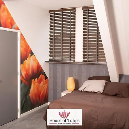 House Of Tulips هيليخوم