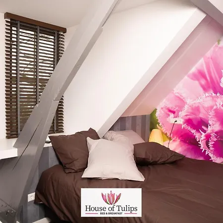 House Of Tulips Hotel Hillegom