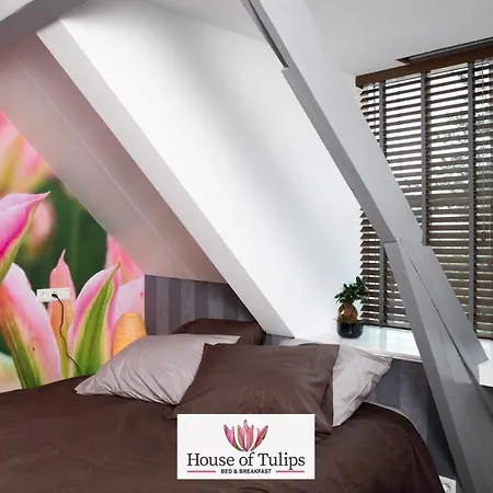 House Of Tulips فندق