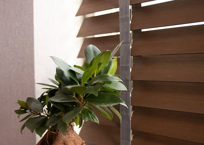 House Of Tulips Hotel Hillegom