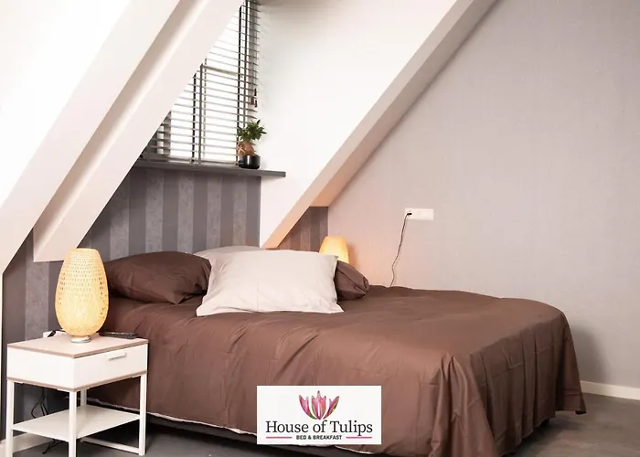 House Of Tulips Hotel Hillegom